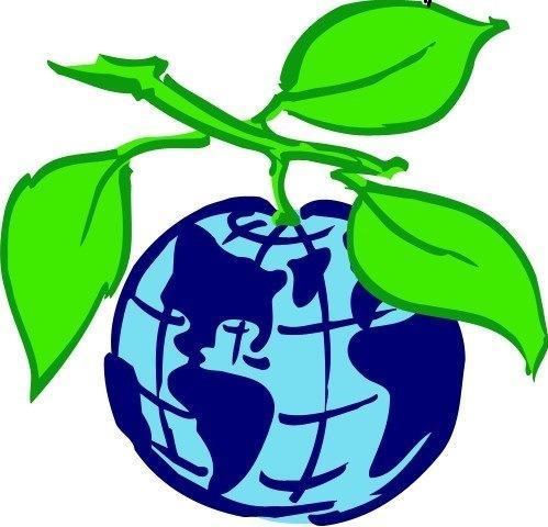 Информация об участии в Международном Экологическом Форуме