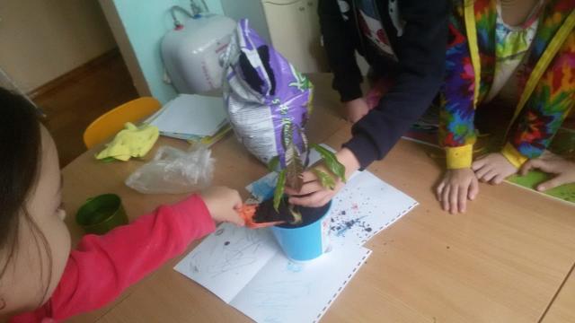 Учимся сажать комнатные растения