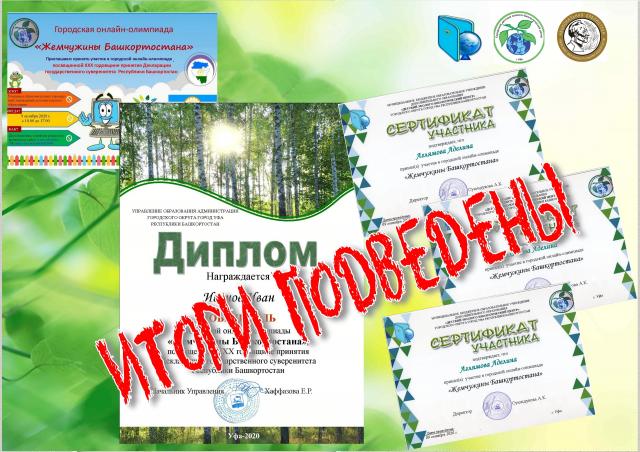 Победители открытой городской онлайн-олимпиады  «Жемчужины Башкортостана»